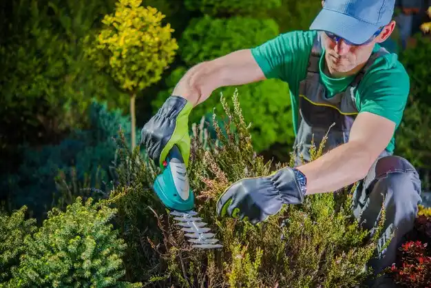 landscaping services Baton Rouge